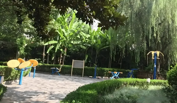入户有什么用_专访｜马伊琍：和创作者、观众“共建”那些鲜活的女性形象 专访｜马伊保护老人全的安